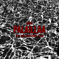 Palaillaa (feat. SNG, BIG-D HOMIE, SV.NE)