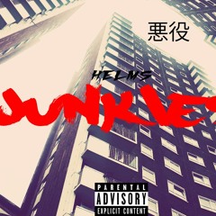 HELMSDNV - Junkies