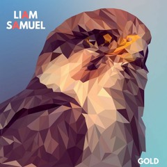 Sebastien feat. Bright Sparks - Gold (LIAM Remix)‏