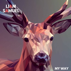 My way & Dont wanna know (LIAM & Freakpass Remix)