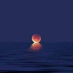 Feel See Breathe Now Believe