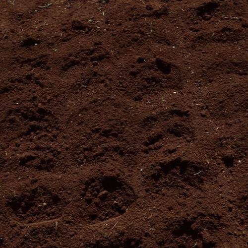 전당포 (feat.SHOST)