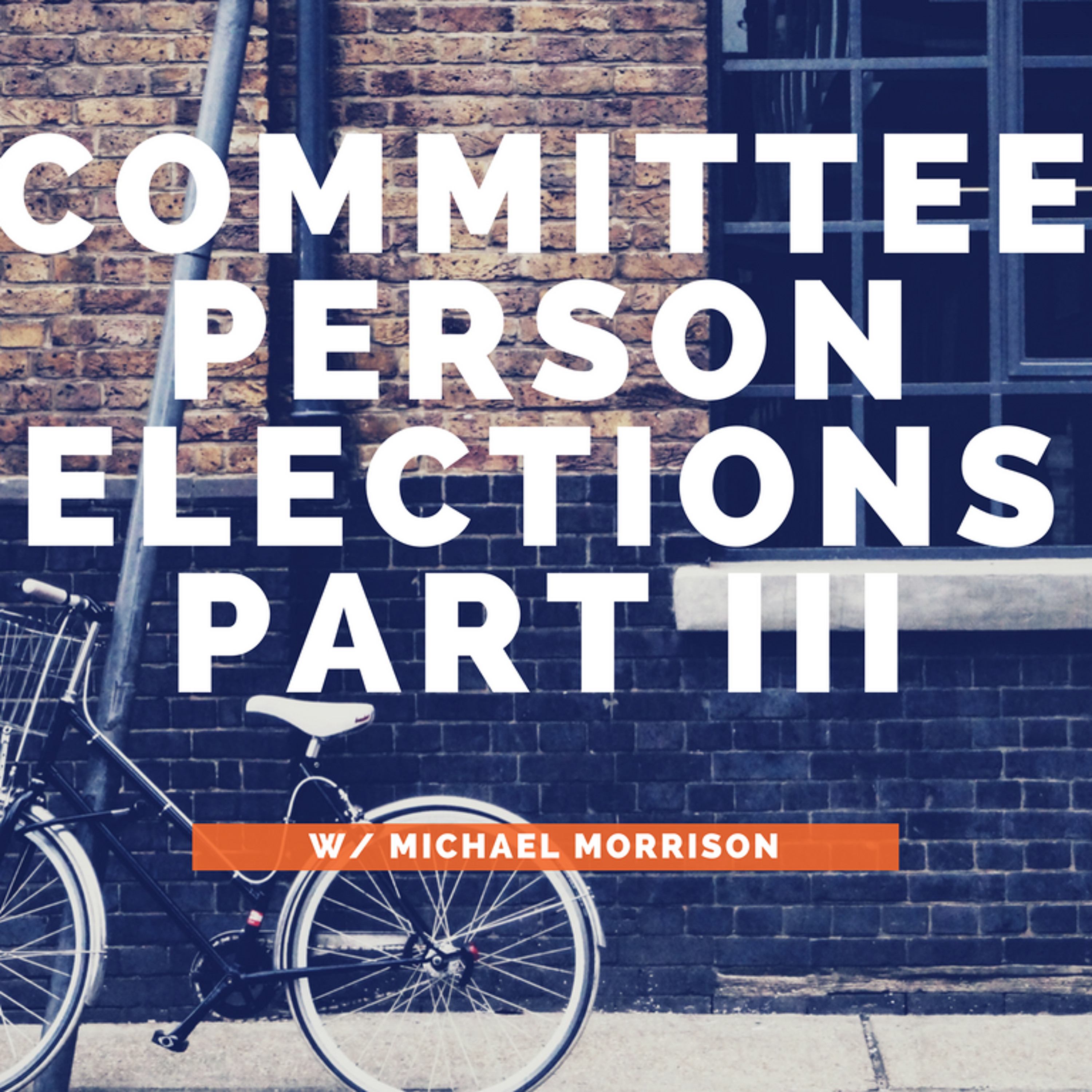 Committeeperson Elections Part III w/Michael Morrison