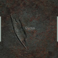 Nathan Moody - Carved By Water [from "Lithopoetics" LP]