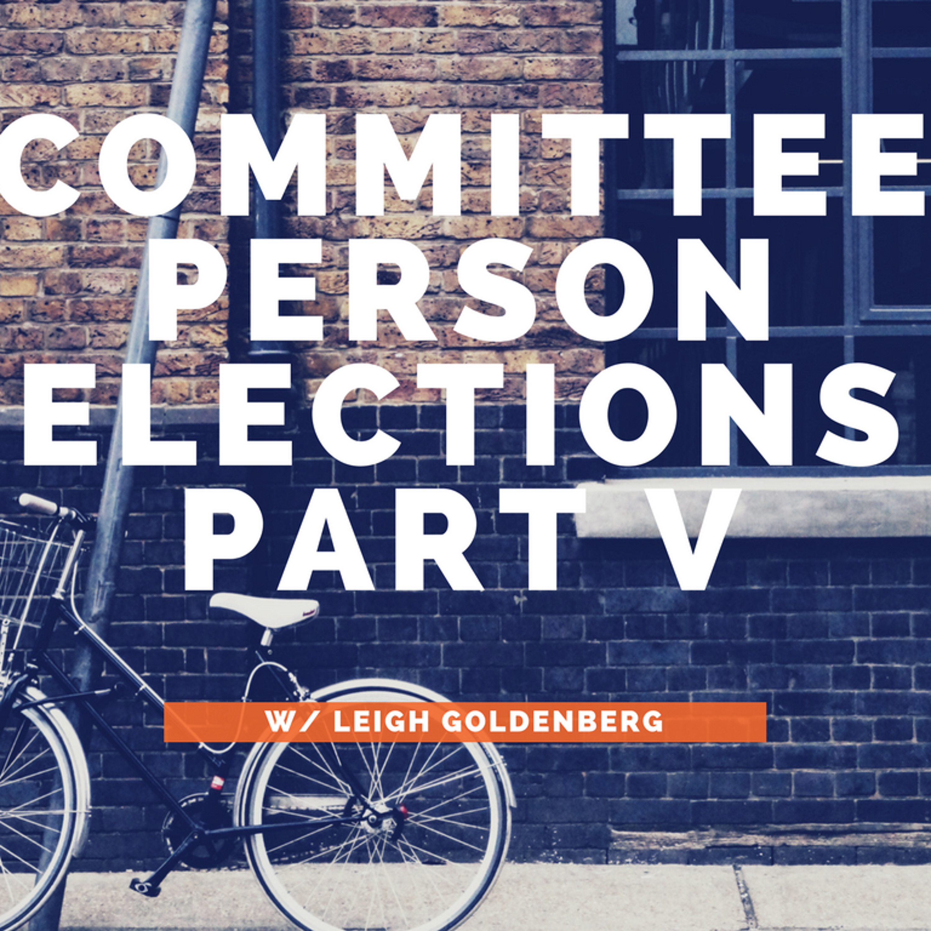 Committeeperson Elections Part V w/Leigh Goldenberg