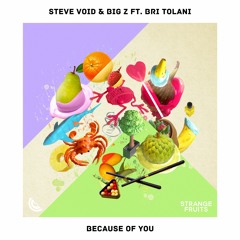 Steve Void & Big Z - Because Of You (ft. Bri Tolani)🍉