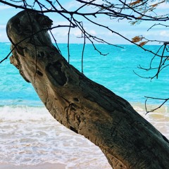 No Insecurities - Seth(Acoustic)