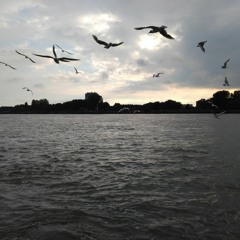 Ghost Dance (Patti Smith cover)