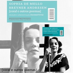 PIRATA - Sophia por Eucanaã Ferraz