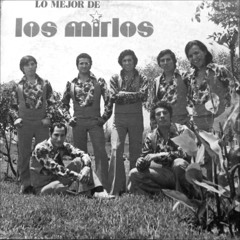 Los Mirlos - Sonido Amazonico (Da Iguana's Voodoo Edit)