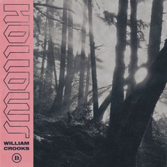 William Crooks - Hollows