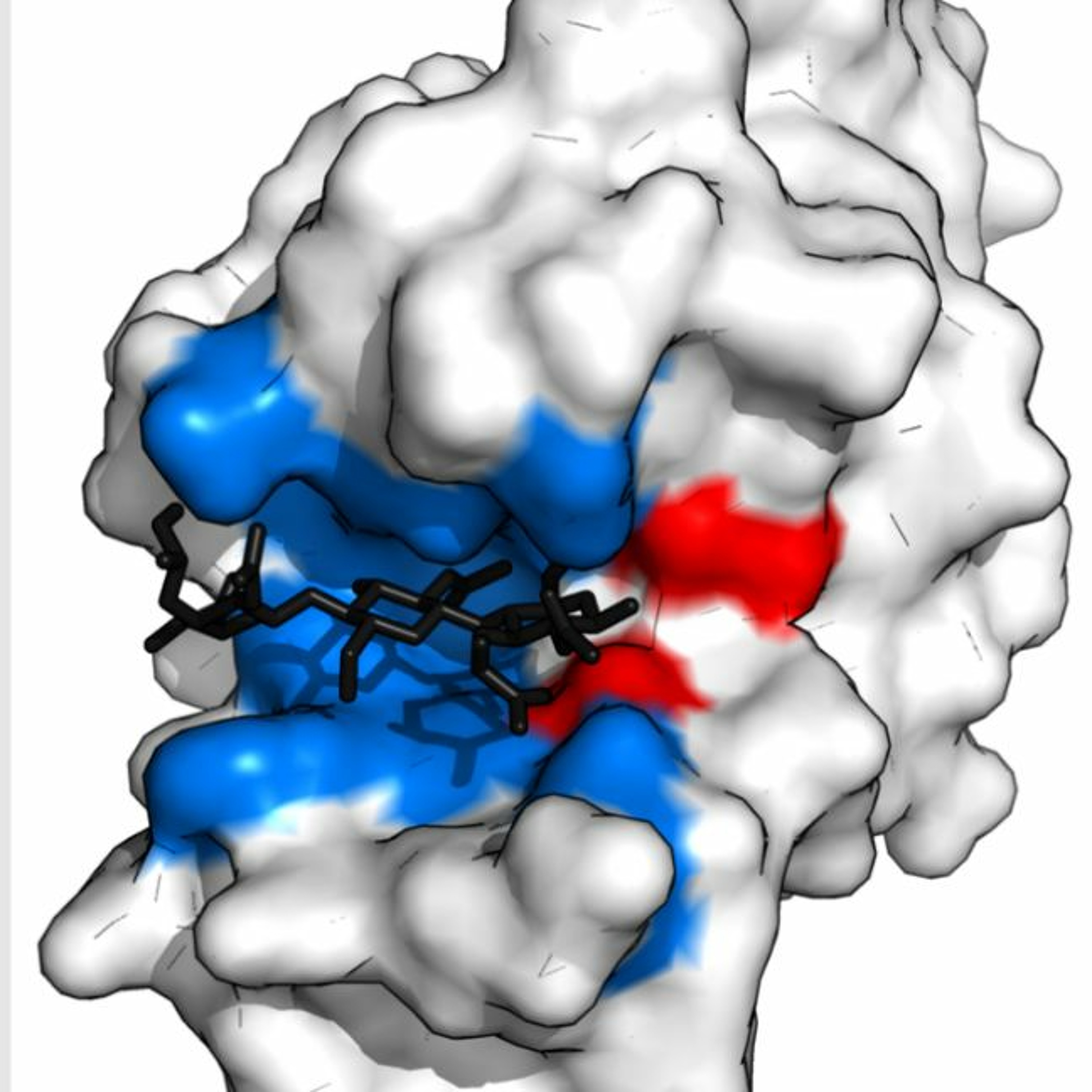Extracellular Polymeric Substance episode artwork