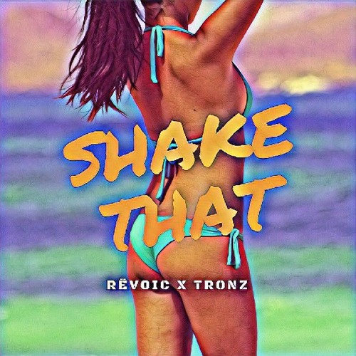 Revoic X TronZ -Shake That (Orignal Mix mp3