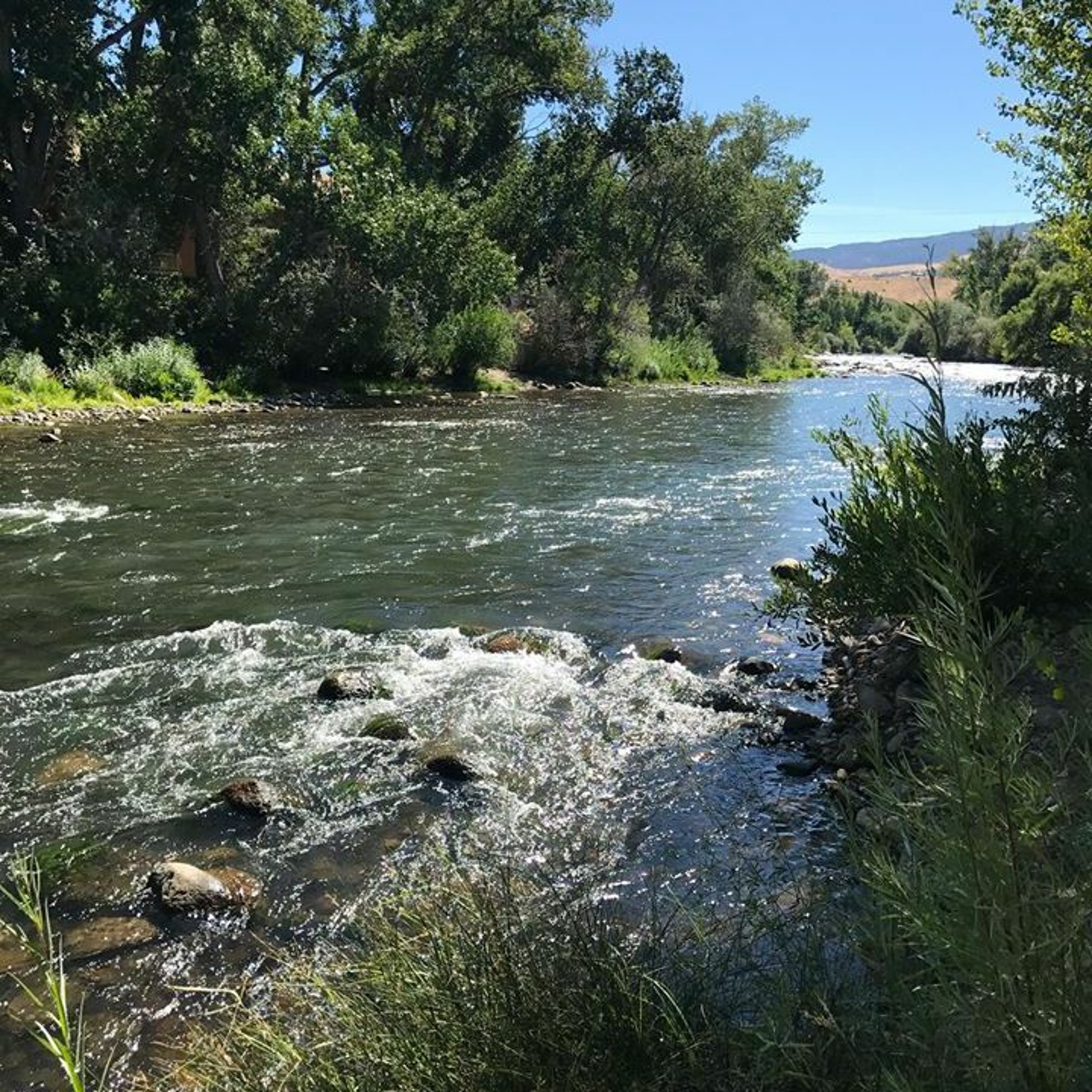 NDOW presents the Nevada Wild Podcast