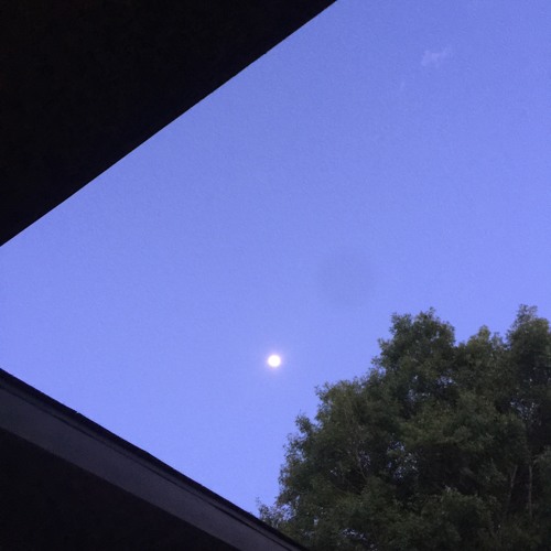 lucid (prod. TRA$H)