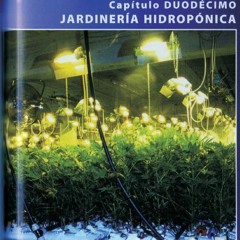 Hydroponic