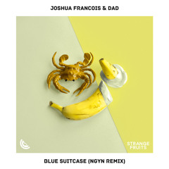 Joshua Francois & DAD - Blue Suitcase (NGYN remix)