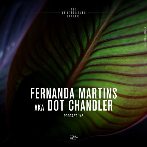 Fernanda Martins aka Dot Chandler @ Podcast Connect #145 Curitiba, PR - Brazil/Spain