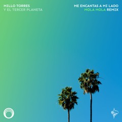 Millo Torres - Me Encantas A Mi Lado (Mola Mola Remix)