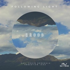 Following Light - Brood ( Sebastien Legz Remix )