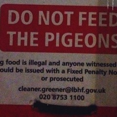 Do not feed 🚫