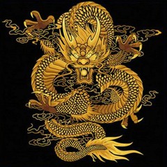 Les Chroniques du Dragon : LE DRAGON SE LEVE