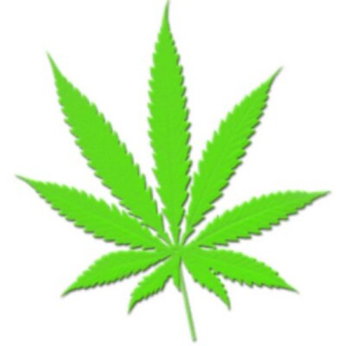 Its Been One Week Since 4/20