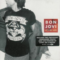 Bon Jovi - It's My Life (Blasterjaxx Remix)