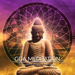 10 - Sky Technology - Shamanic Dream (Tara Putra Remix)
