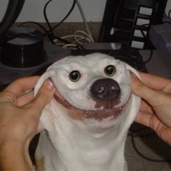 I still have an accordian