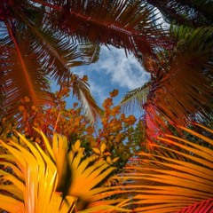 My All Cover (rough)