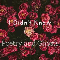I Didn't Know - Joan Shelley
