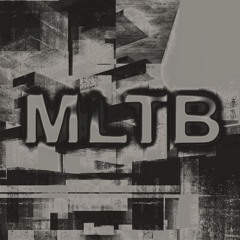 MLTB -  Due Diligence ( snippet )