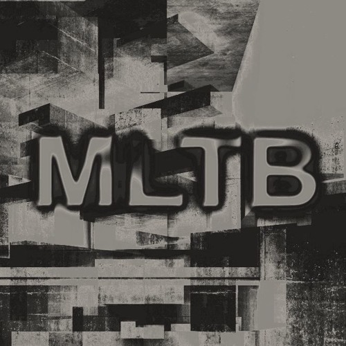 MLTB -  Due Diligence ( snippet )