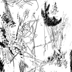 Prism (IG: @zoomthrax)