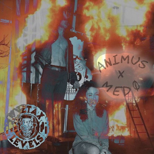 ANIMUS × Medø - u n s t a b l e (prod. ʎpoqou )
