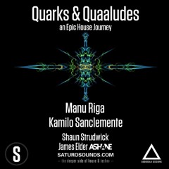 Quarks & Quaaludes - an Epic House Journey (Apr 2018)