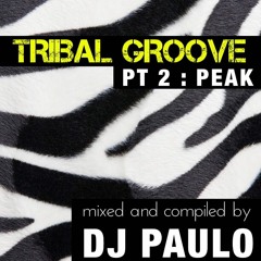 DJ PAULO - TRIBAL GROOVE Pt 2 (PEAK/CIRCUIT) Spring 2018