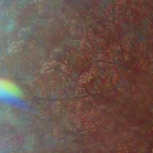 Mac Demarco and Melanie Faye-Eternally 12 - (Jerry Blossom Edit)