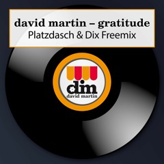 FREE DOWNLOAD!!!  David Martin - Gratitude (Platzdasch & Dix Freemix)