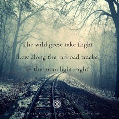 Haiku #225: The wild geese take flight / Low along the railroad tracks / In the moonlight night