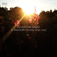LUCIDFLOW_RADIO-160_D.DIGGLER_STRICTLY_VINYL_MIX_LUCIDFLOW-RECORDS_COM