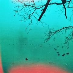 Flow Of Creation // from the album 'Anything Is Possible'