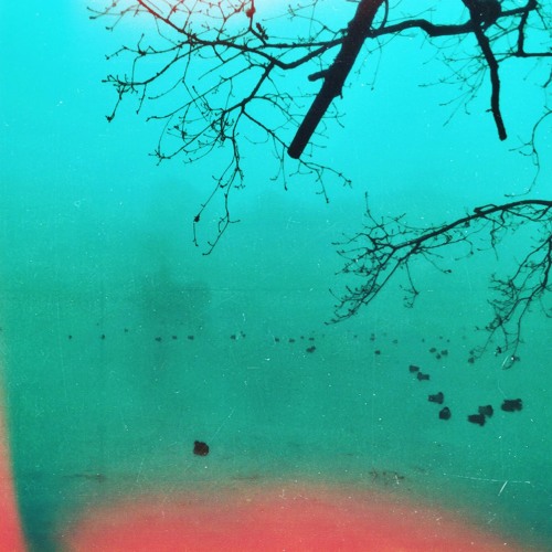 Flow Of Creation // from the album 'Anything Is Possible'