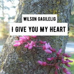 I Give You My Heart (remix/cover)-Wilson Gagilelig