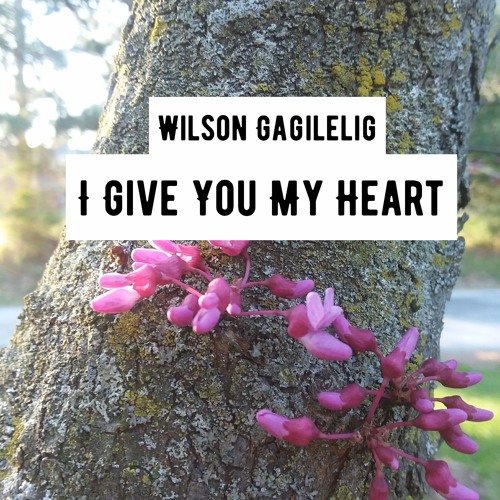 I Give You My Heart (remix/cover)-Wilson Gagilelig