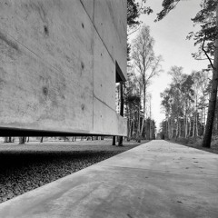 Chill Music (Shuffle it)