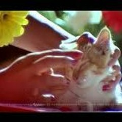 Summer In Bathlehem Song   Etrayo Janmamay