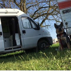 SID23 - Track. Retour aux Sources