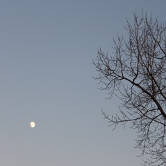 Lose you - Eric Nam (cover by Abi)